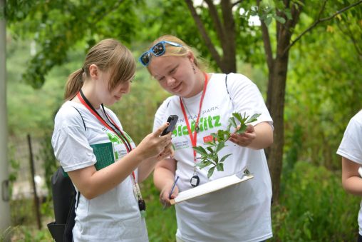 two women at the Central Park Bioblitz examine some leaves. Both are wearing BioBlitz shirts. One holds up the leaves while the other takes a photograph of them.