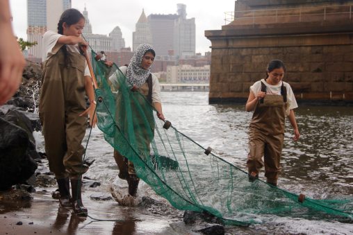 Students seining for fish in the East River with the base of the Brooklyn Bridge behind them