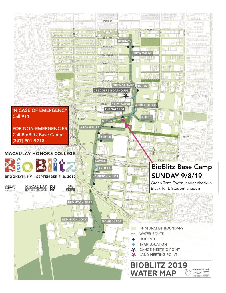 Gowanus Water BioBlitz Map