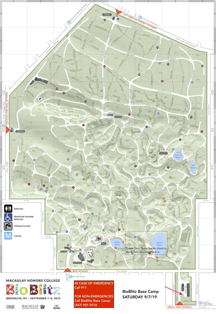 Green-Wood BioBlitz Map