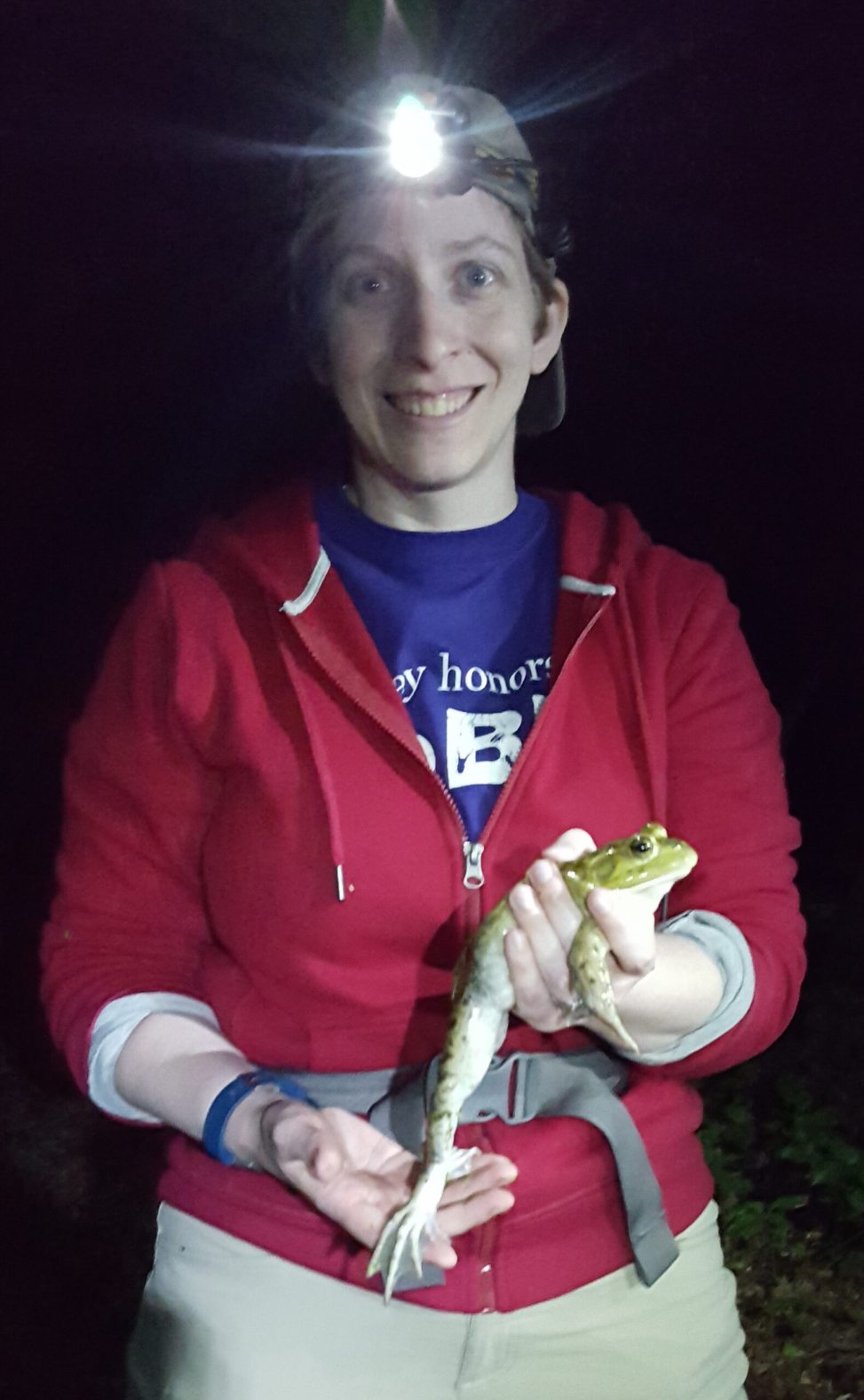 M. Caitlin Fisher-Reid wears a purple BioBlitz shirt, a red hoodie, and a head lamp. She is holding a frog.