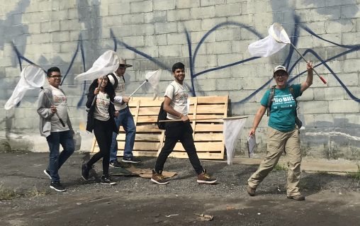 Caroline DeVan in a teal BioBlitz shirt holding a butterfly net above her head followed by four Macaulay students in oat colored shirts also holding butterfly nets.