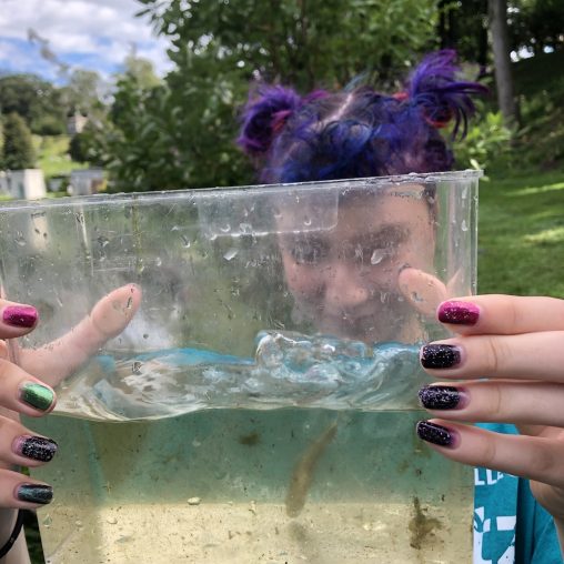 A person with pink and purple hair holds a small fish observation tank in front of her face. She has multi colored nail polish that is visible where her hands grasp the small tank.