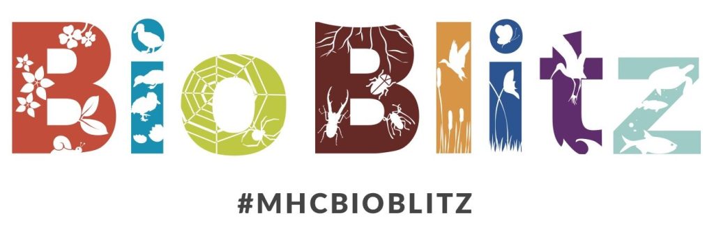 The word BioBlitz is spelled out in different colors, with graphics of wildlife printed across them. Underneath is the hashtag #mhcbioblitz