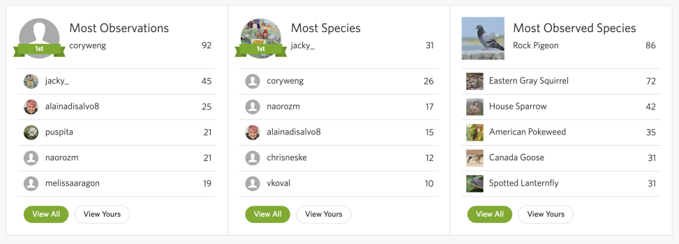 A screenshot from iNaturalist of Macaulay's 2021 remote BioBlitz showing the top observers, species, and identifiers