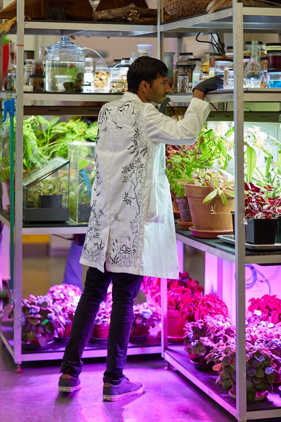 Ansel Oommen stands in front of shelves of plants and lab specimens. His back is to the camera, showing a hand-embroidered labcoat decorated with botanical themes. His face is in profile and he is examining a jar on the top shelf.