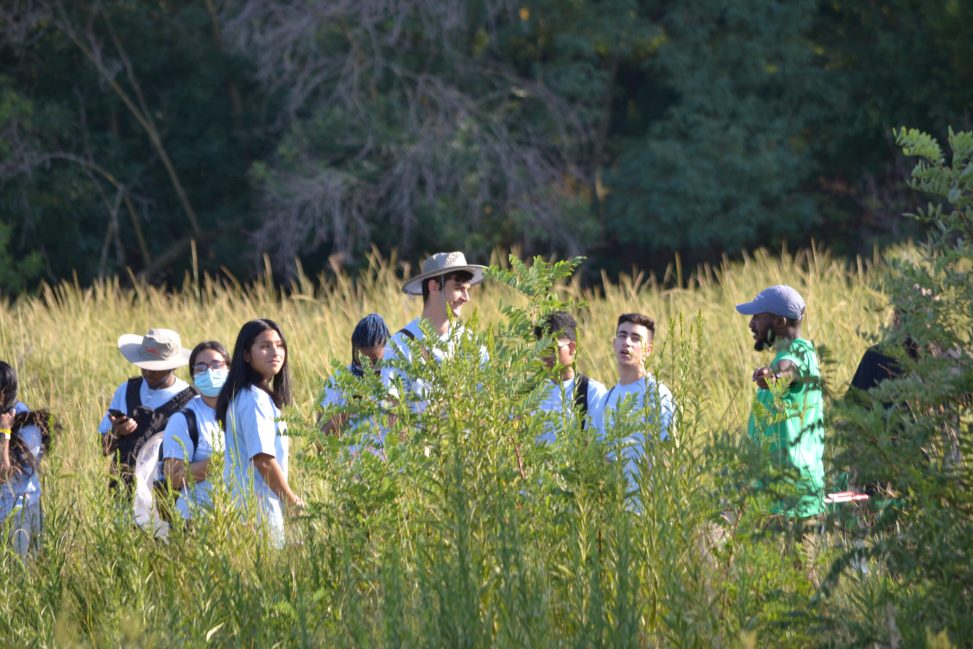 A group of people stand in a meadow with tall grass
