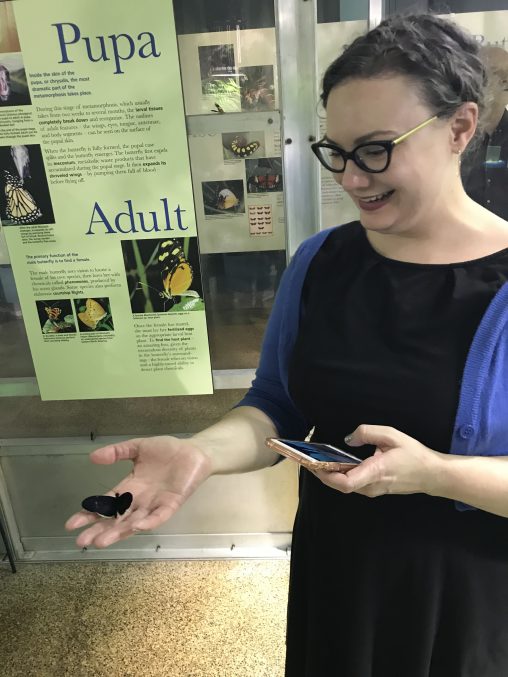 Lisa holding a butterfly in front of an informational sign about butterfly life cycles. She's wearing a black dress and glasses and she's smiling as she looks at the butterfly.