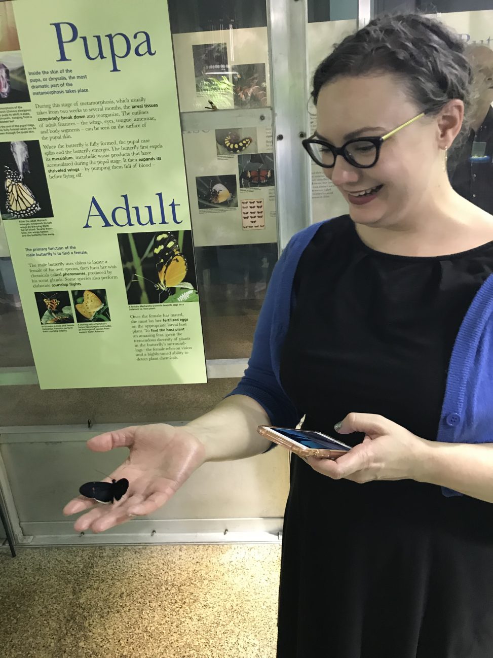 Lisa holding a butterfly in front of an informational sign about butterfly life cycles. She's wearing a black dress and glasses and she's smiling as she looks at the butterfly.