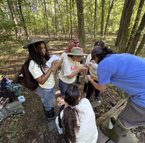 Photo of herpetologist, Dr. Nicole Fusco, showing a group of 6 students a salamander. One student is taking a photo and one student is writing on a clipboard.
