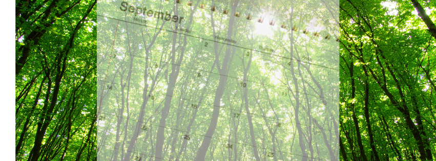 A calendar overtop of an image of a forest