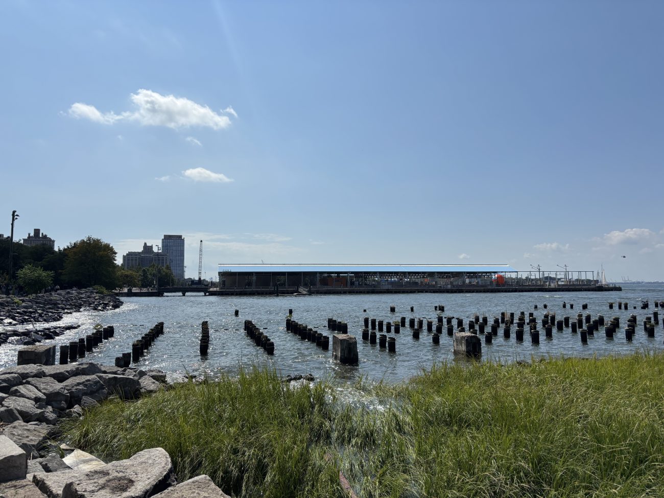 Looking at the East River from Brooklyn Bridge Park, there are wooden posts sticking up out of the river and a pier in the background.
