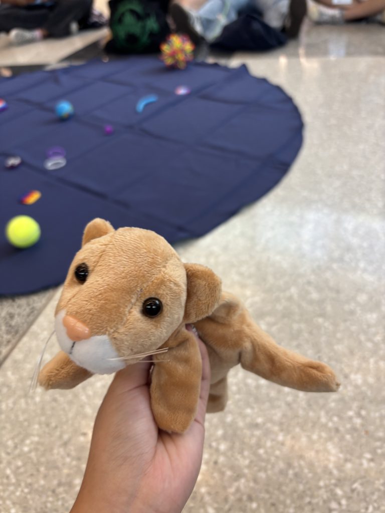 Macaulay honors mountain lion mascot stuffed animal
