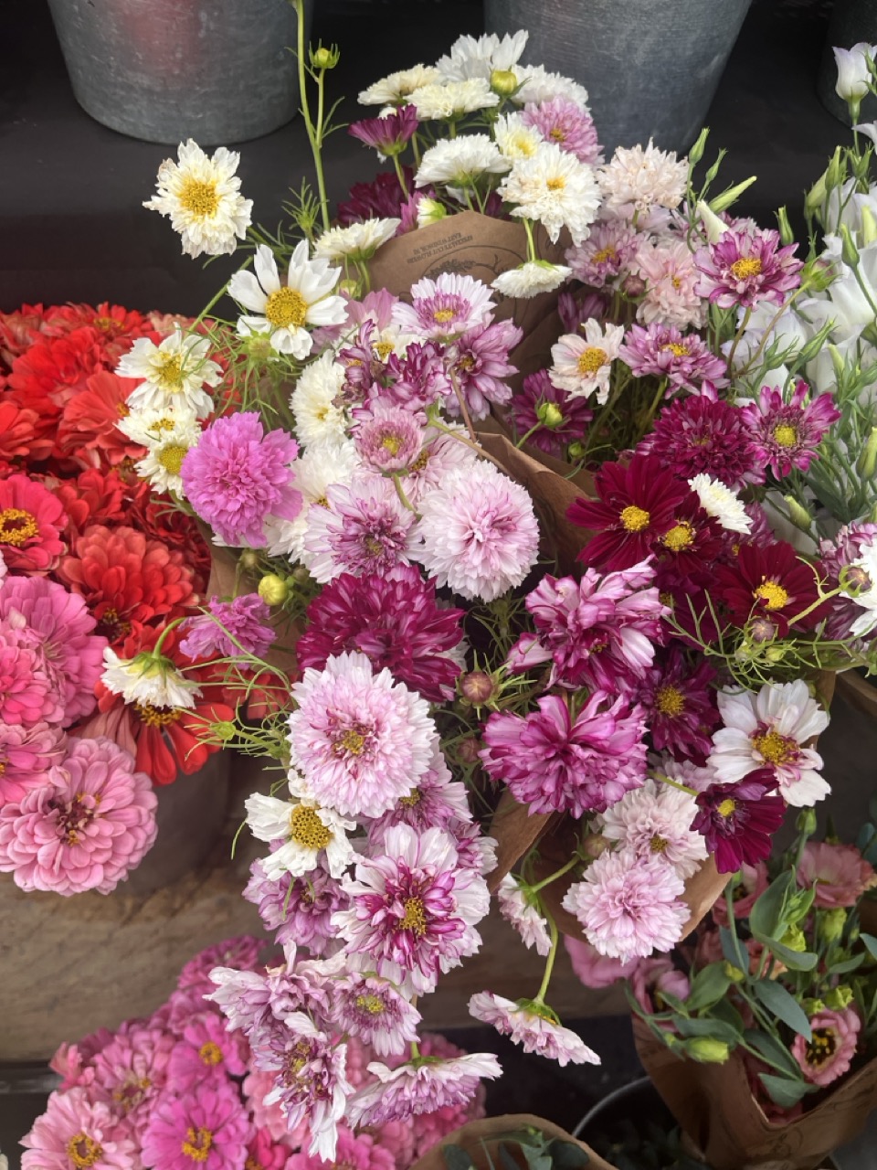 bouquets of different colorful flowers, cosmos and zinnias