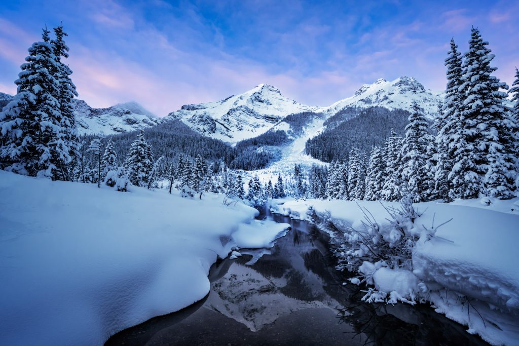 Snowy landscape with snowy mountains and pine trees