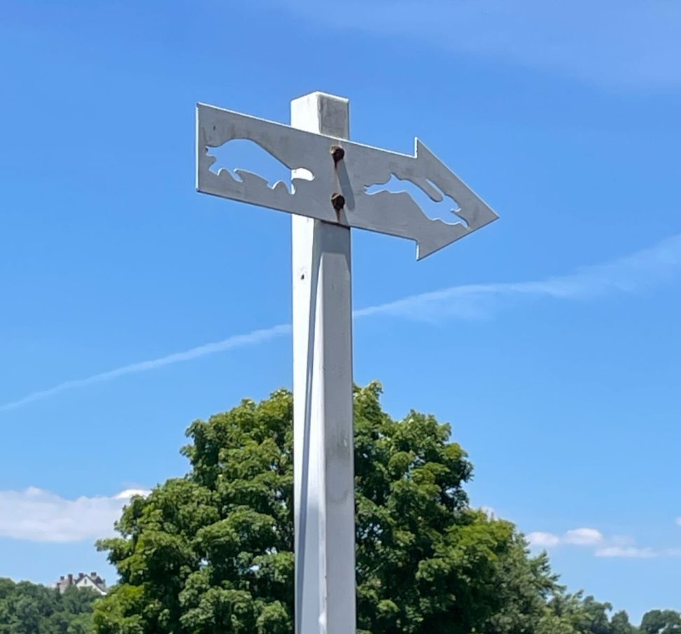 A sign post with a tortoise and hare pointing right against a tree and bright blue sky