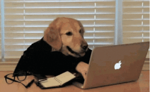 Dog typing on a laptop with human hands.