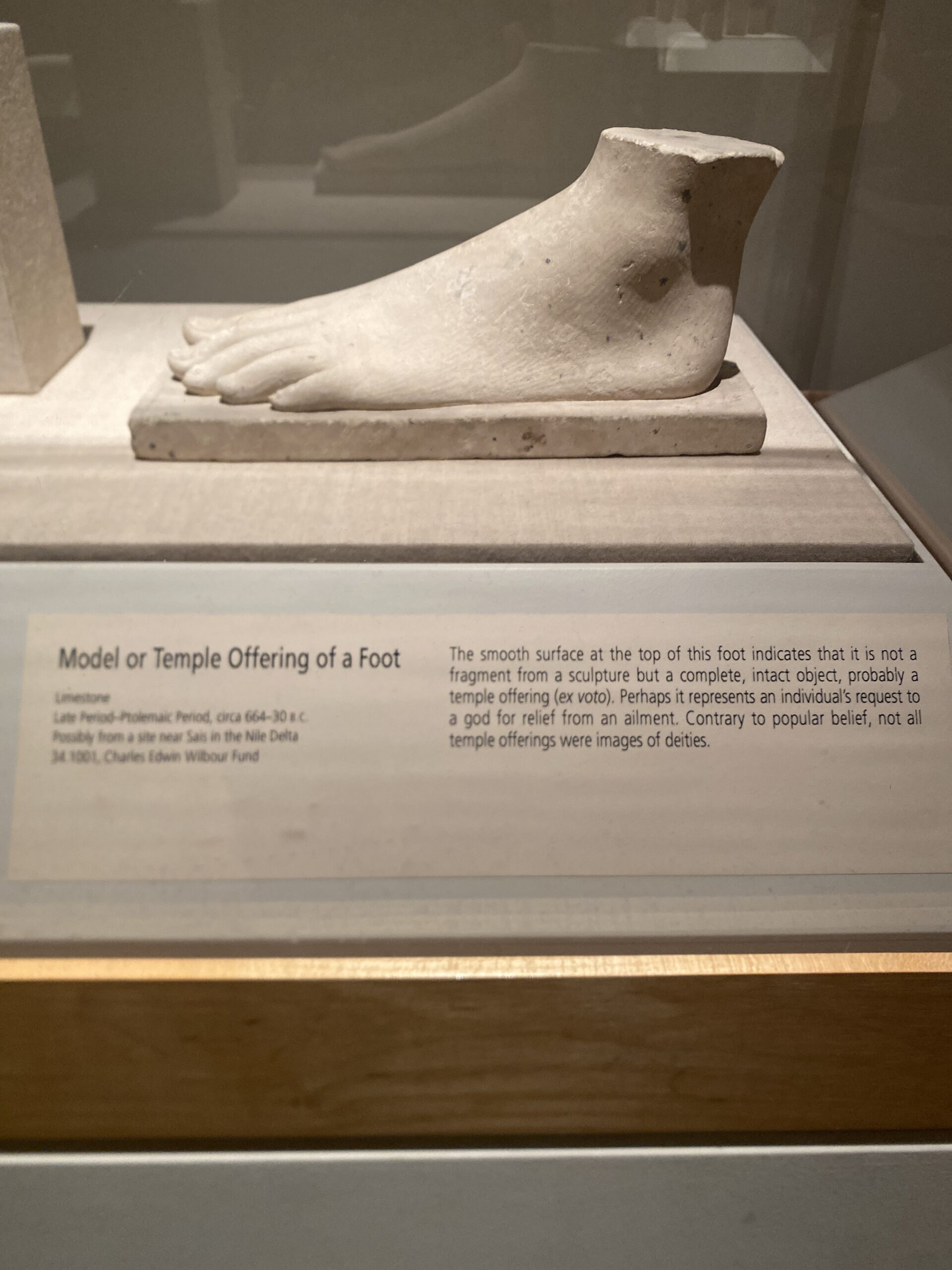 Model or Temple offering of a Foot