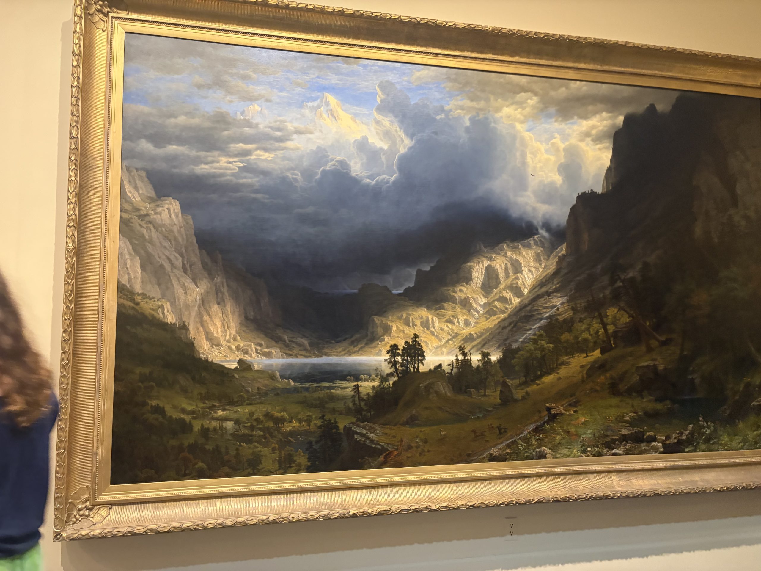 A storm in the Rocky Mountains , Mt. Rosalie
