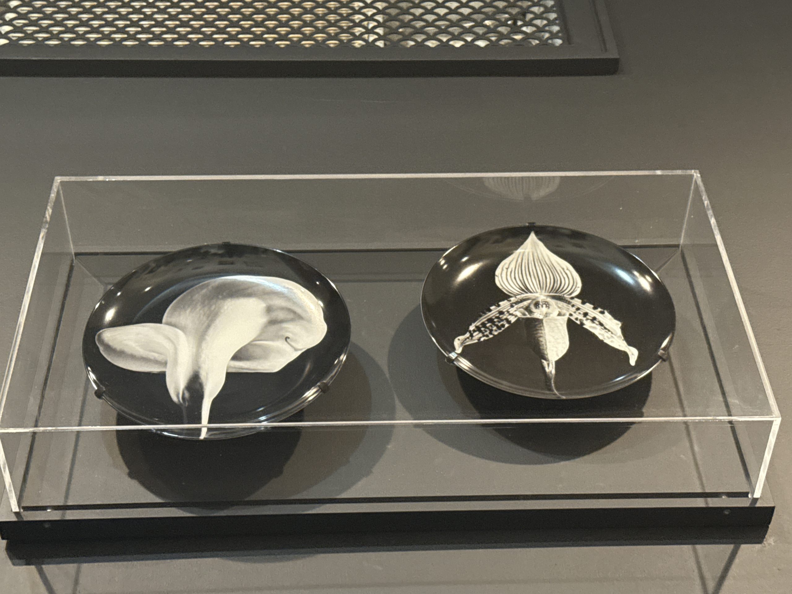 Calla Lily Plate