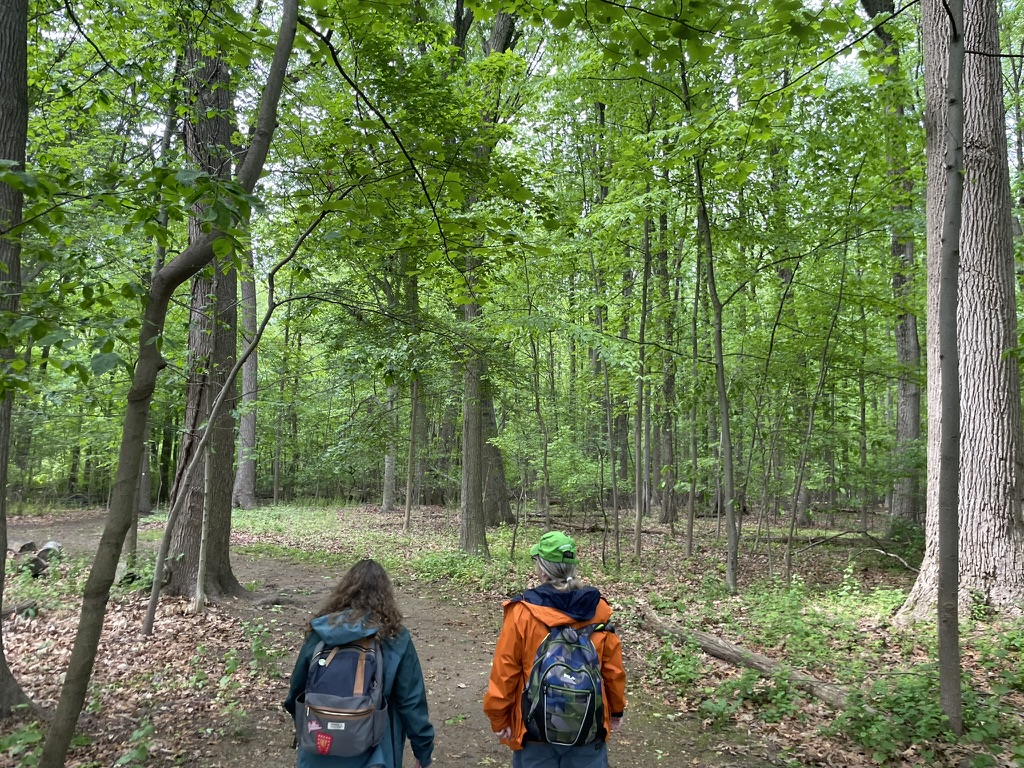 In the Spotlight: BioBlitz 2026: August 29-30