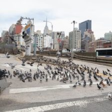 The People of New York City, Spring 2026