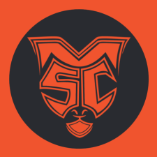 Macaulay Scholars Council